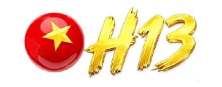 H13